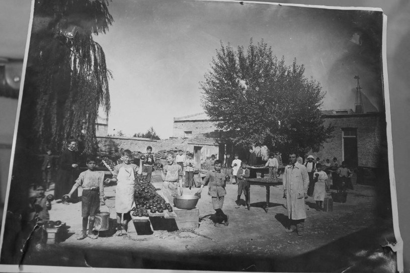 Figura 3. Alumnos internos en
      el trabajo
      del tomate cerca de la Escuela “San Miguel, sin fecha (Archivo de
      la escuela
      elemental “San Miguel”, General Roca).