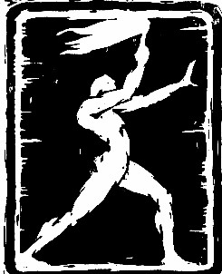 Imagen de portada. Nervio, números 1 a 4.