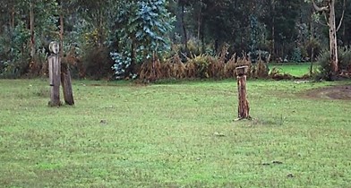 Guillatue y pareja de chemamüll. Comunidad de don Segundo Rahín. Identidad territorial pehuenche[41]