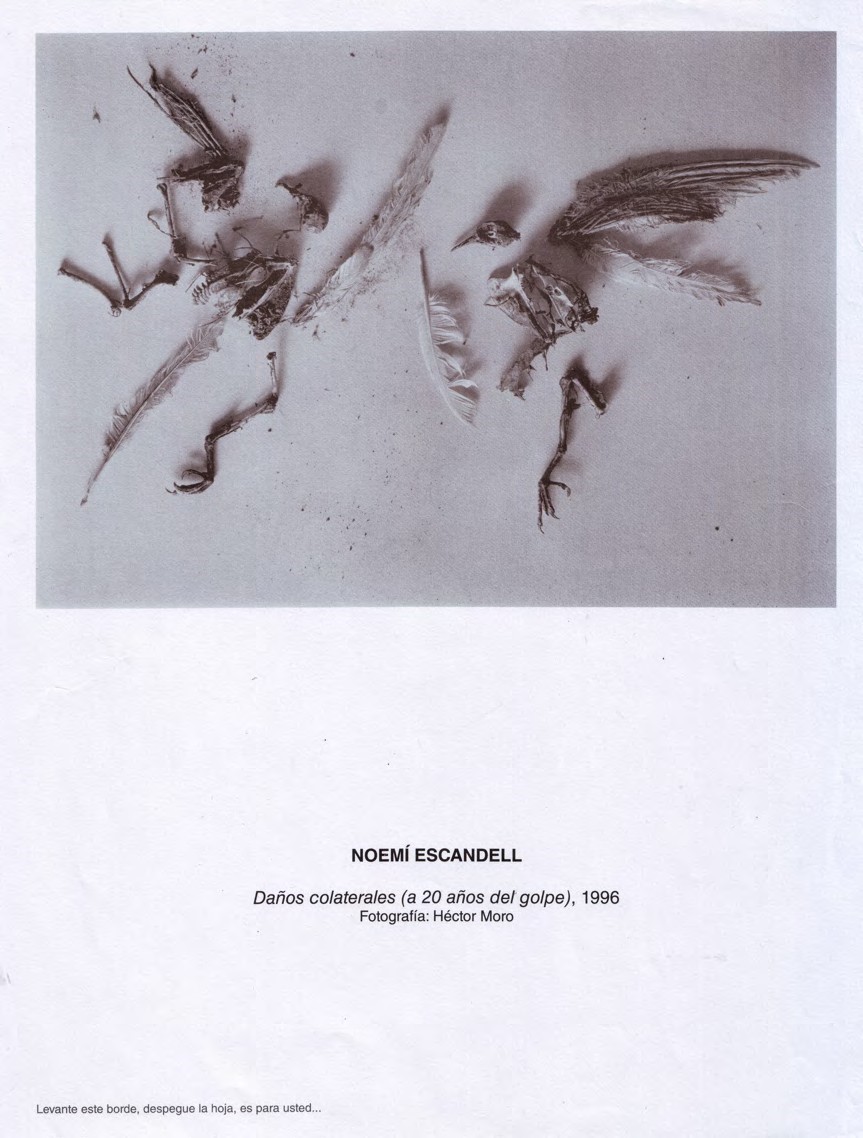 Noemí Escandell.Daños colaterales (A 20 años del golpe), 1996 