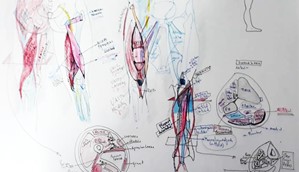 Función vicarial. Estudio de Anatomía.