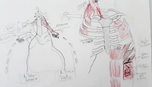Función vicarial. Estudio de Anatomía