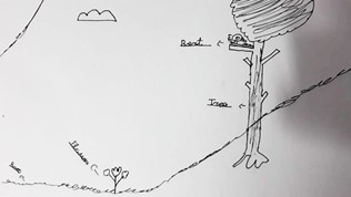Función Informativa
