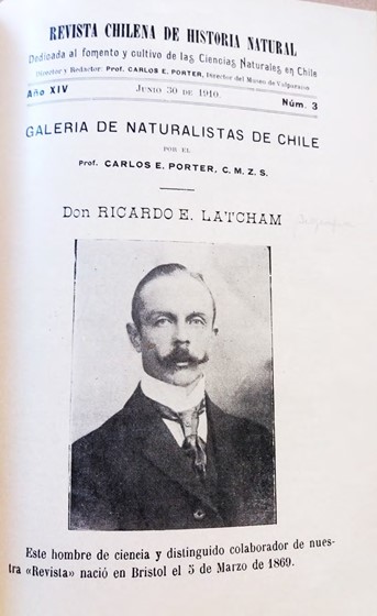 Fig. 8