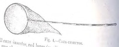 Fig. 10