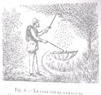 Fig. 11