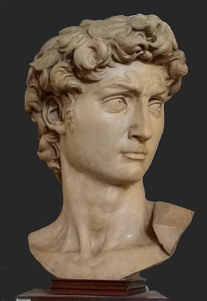 Autor desconocido, Cabeza de David, ca1898, 110x67x60cm, Terracota, Santiago de Chile