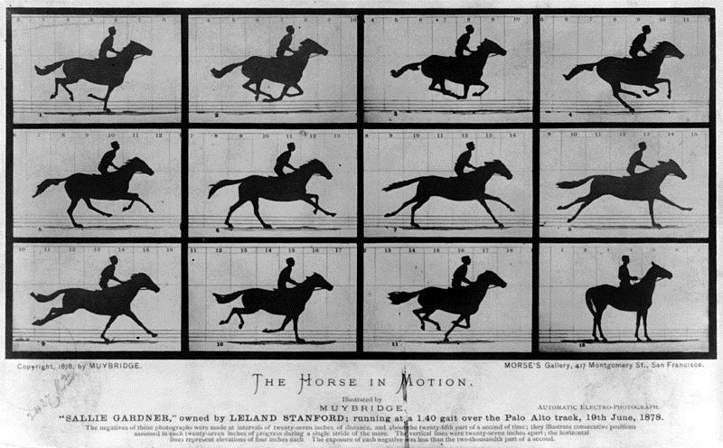 Eadward Muybridge, The horse in motion (1878). Secuencia fotográfica de 12 tarjetas[50].