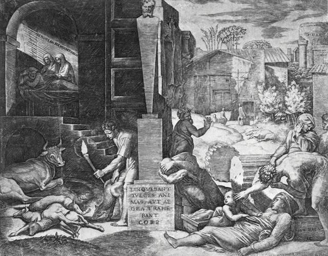 Raimondi.