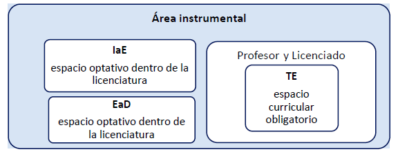 Figura 1: Organización de los espacios curriculares en el área instrumental